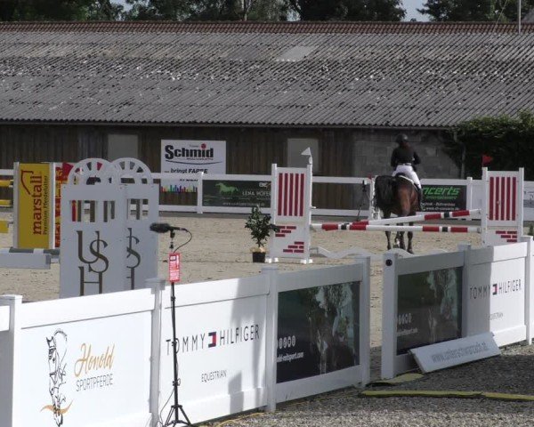 Reitturnier Memmingen 2024