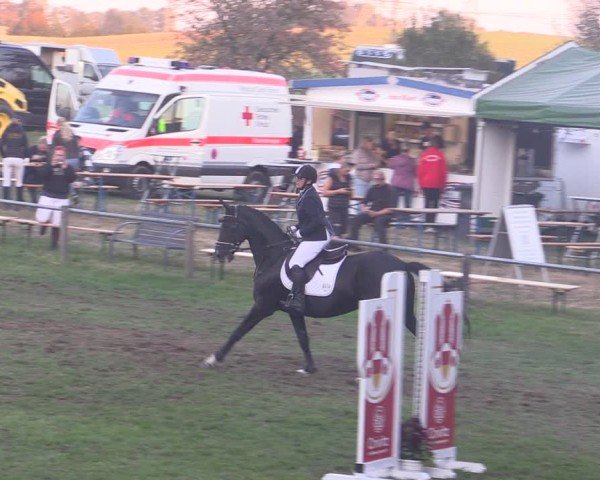 Reitturnier Crivitz 2024