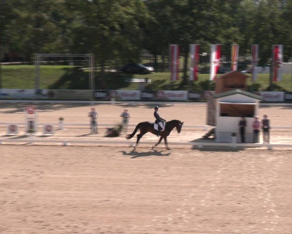 40. AWÖ Bundeschampionat - Zucht