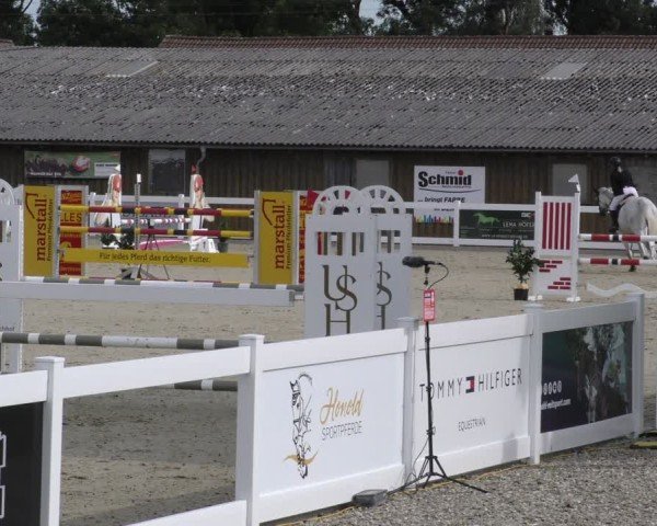 Reitturnier Memmingen 2024