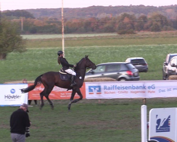Reitturnier Crivitz 2024