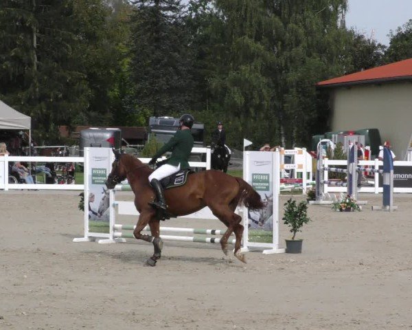 Reitturnier Memmingen 2024