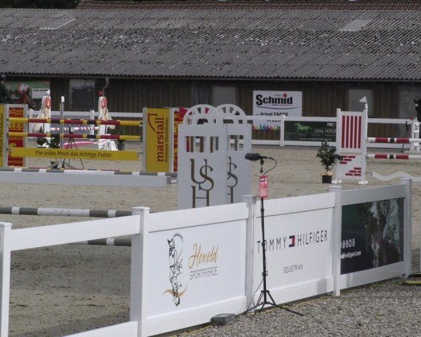 Reitturnier Memmingen 2024
