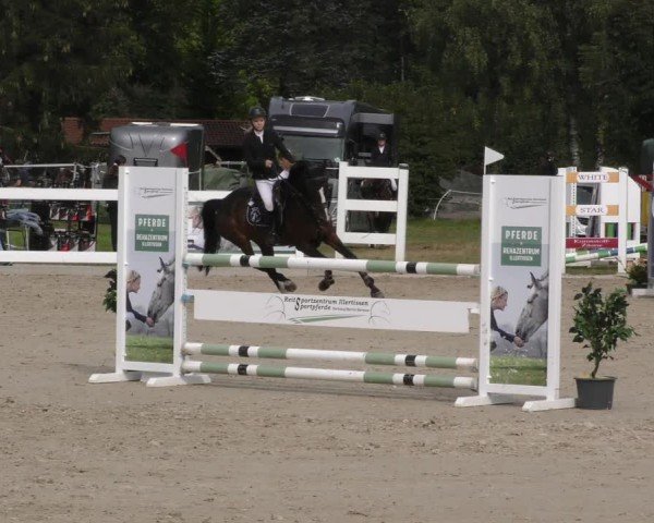 Reitturnier Memmingen 2024