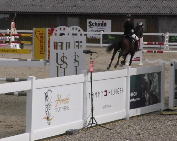 Reitturnier Memmingen 2024