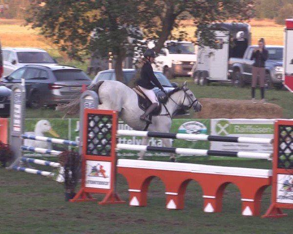 Reitturnier Crivitz 2024