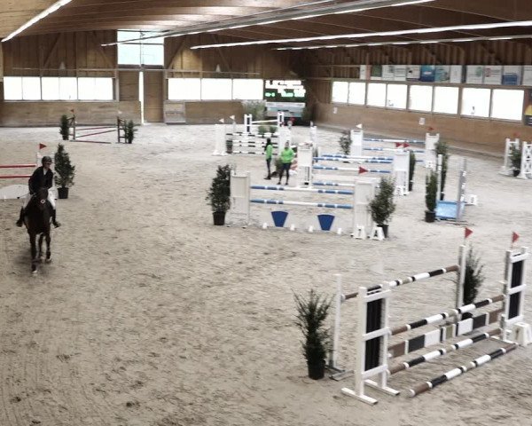 Reitturnier Rüti 2021