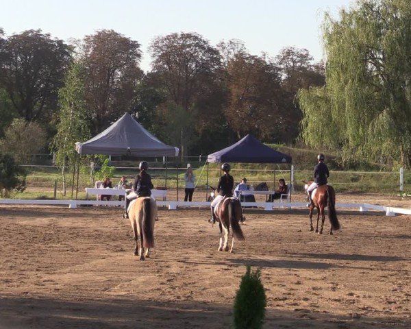 Reitturnier Schenkenhorst 2024