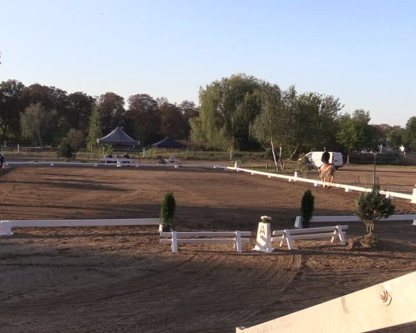Reitturnier Schenkenhorst 2024