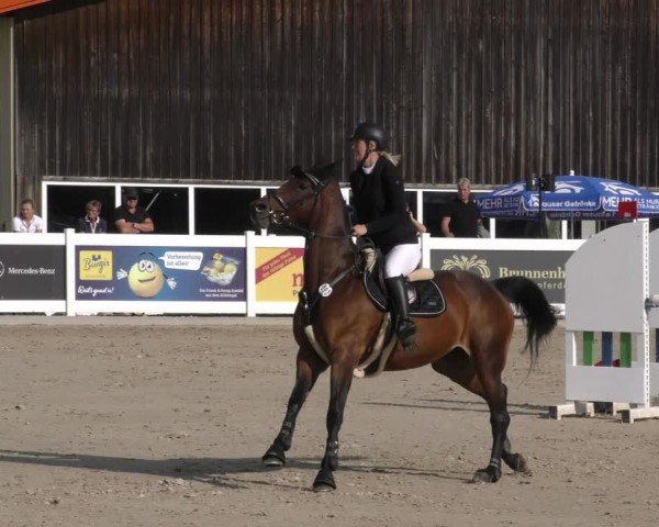 Reitturnier Memmingen 2024