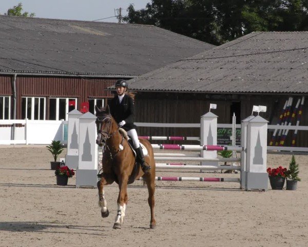 Reitturnier Memmingen 2024