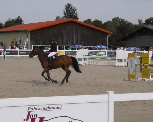 Reitturnier Memmingen 2024