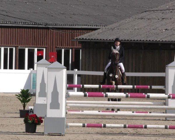 Reitturnier Memmingen 2024