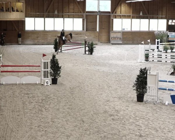 Reitturnier Rüti 2021