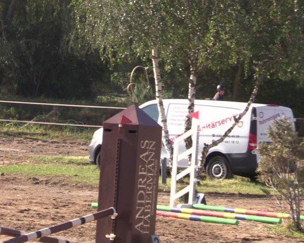Reitturnier Schenkenhorst 2024