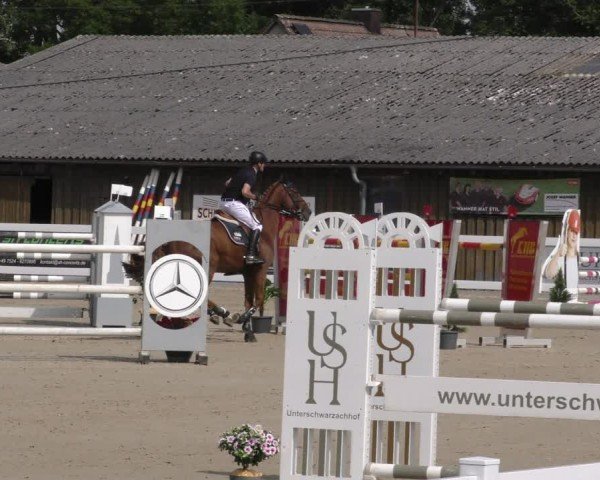 Reitturnier Memmingen 2024