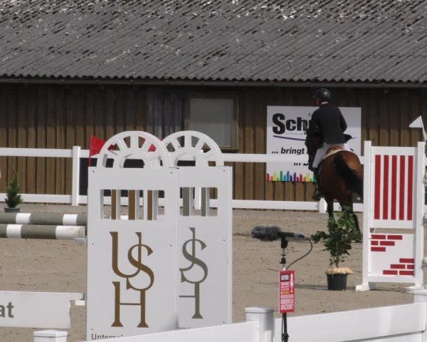 Reitturnier Memmingen 2024