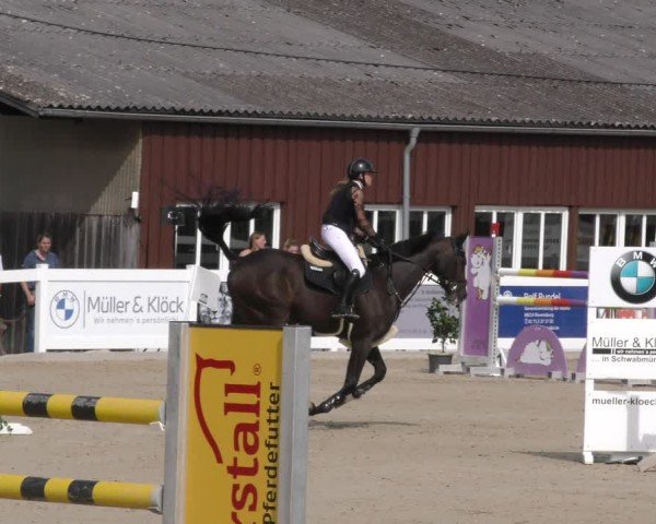 Reitturnier Memmingen 2024