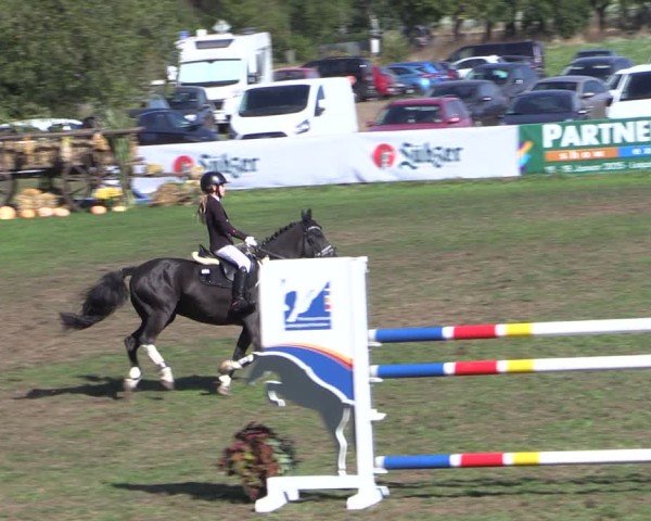 Reitturnier Crivitz 2024