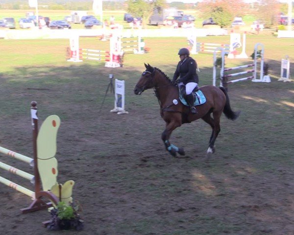 Reitturnier Crivitz 2024