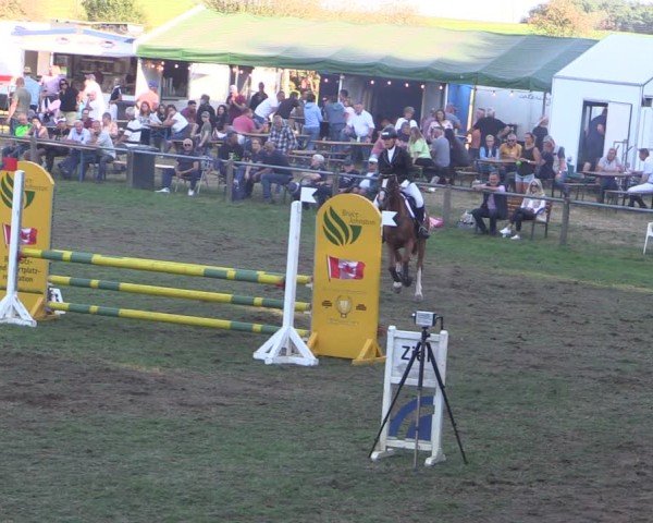 Reitturnier Crivitz 2024
