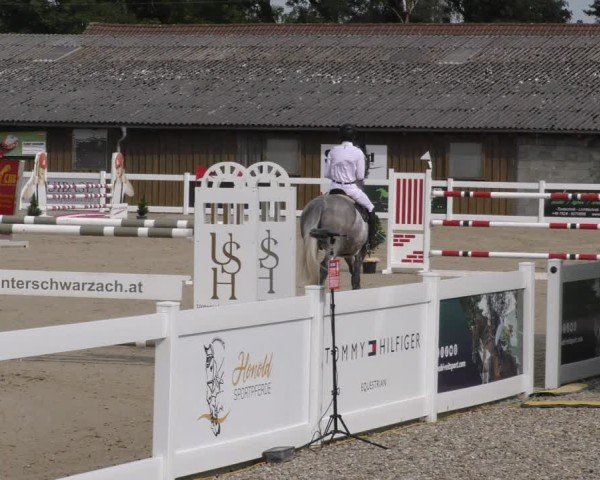 Reitturnier Memmingen 2024