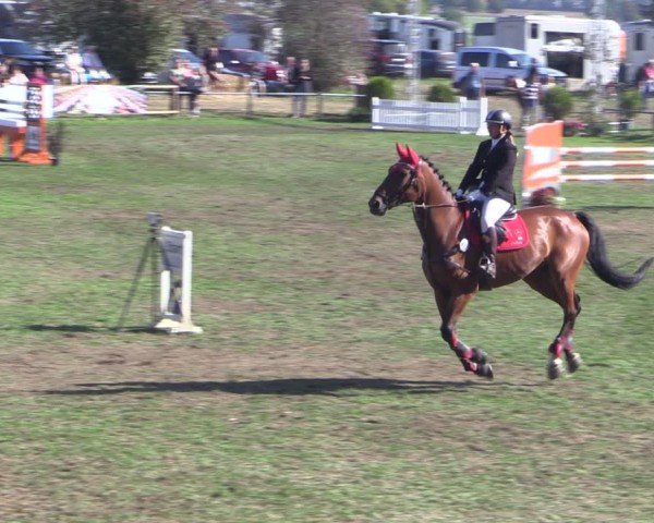Reitturnier Crivitz 2024