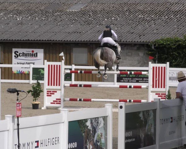 Reitturnier Memmingen 2024