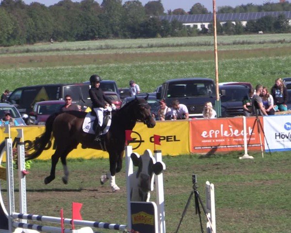 Reitturnier Crivitz 2024