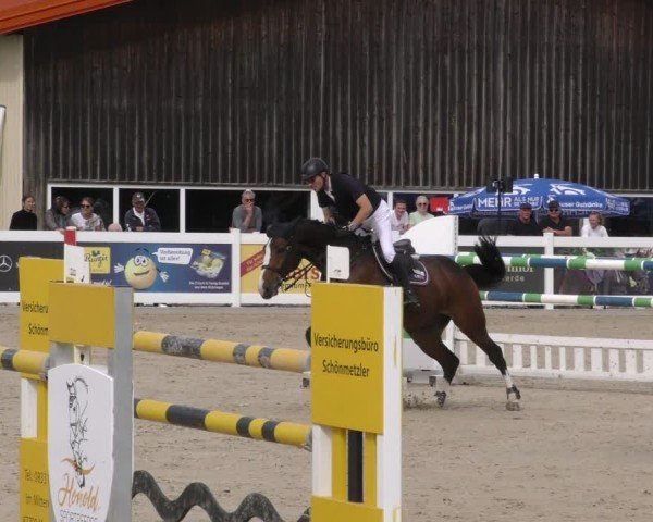 Reitturnier Memmingen 2024