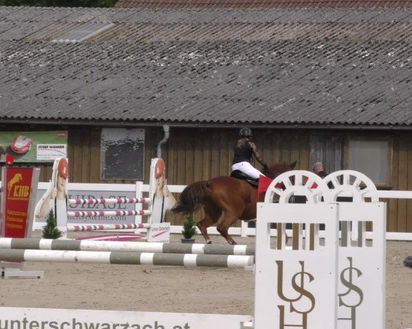 Reitturnier Memmingen 2024