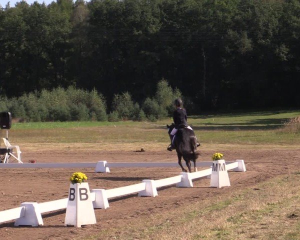 Reitturnier Crivitz 2024