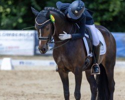 broodmare Ein Bisschen Spaß Muss Sein 3 (German Riding Pony, 2018, from Escurio)