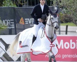 jumper Rr Carcom (Argentinian horse, 2014, from Cornet du Lys)