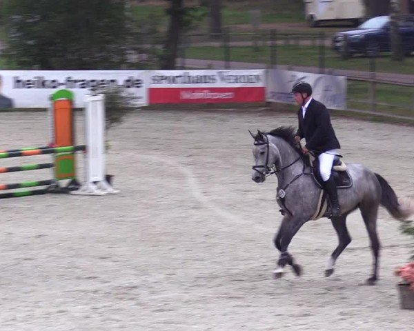 Reitturnier Westergellersen 2024