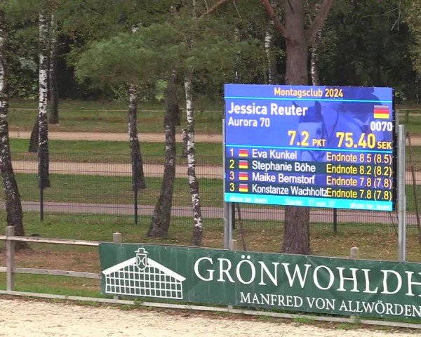 Reitturnier Westergellersen 2024