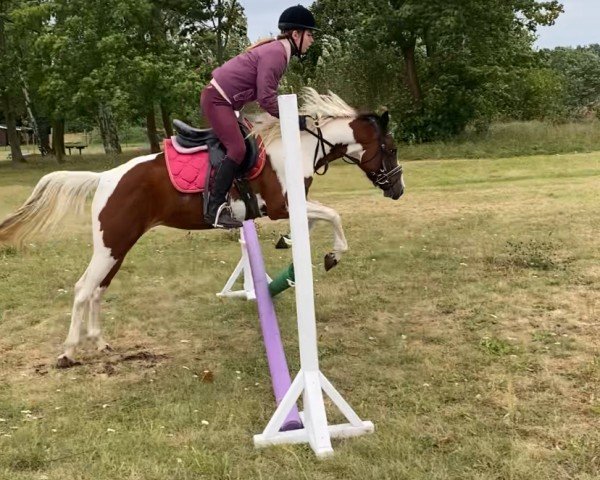 broodmare Firefly (German Riding Pony, 2021, from Der Kleine Donnerhall W)