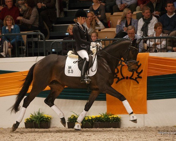 horse Esperia 2 (Trakehner, 2013, from Schwarzgold)