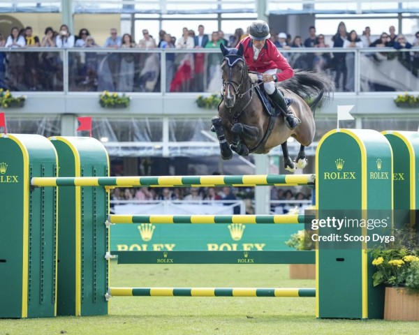 broodmare Scarlina de Tiji Z (Zangersheide riding horse, 2014, from Hunters Scendro)