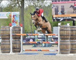 Springpferd Fragance de Pleville (Selle Français, 2015, von Casall Ask)
