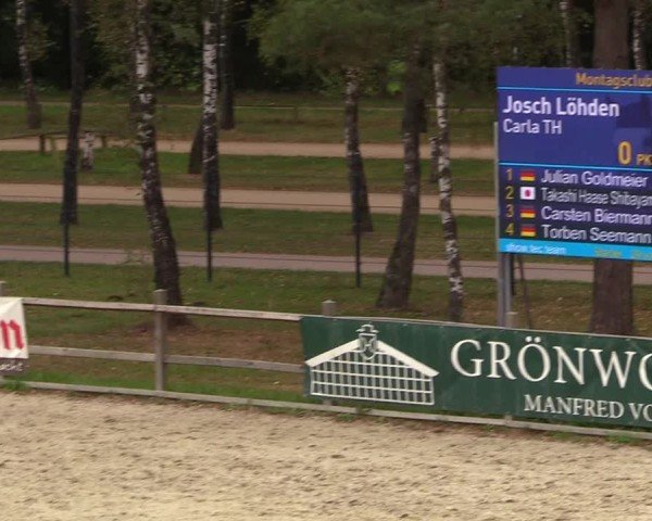 Reitturnier Westergellersen 2024