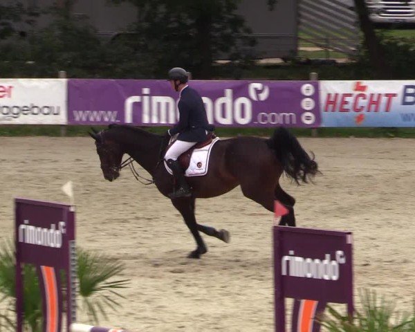 Reitturnier Westergellersen 2024