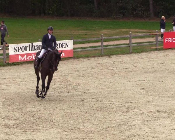 Reitturnier Westergellersen 2024