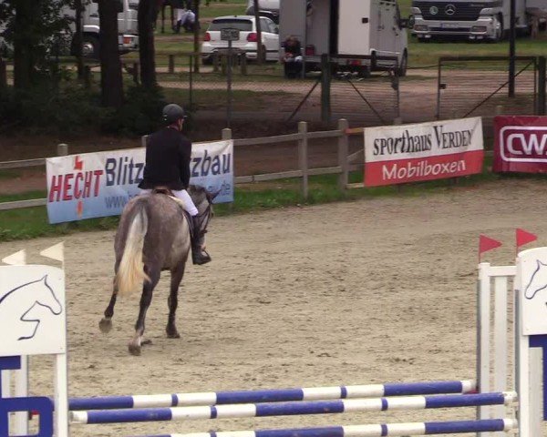 Reitturnier Westergellersen 2024