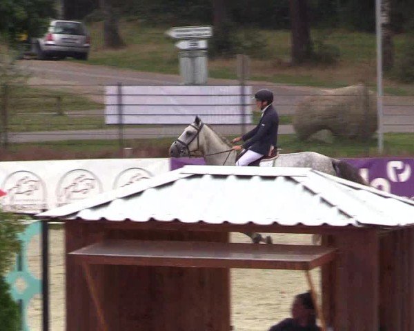 Reitturnier Westergellersen 2024
