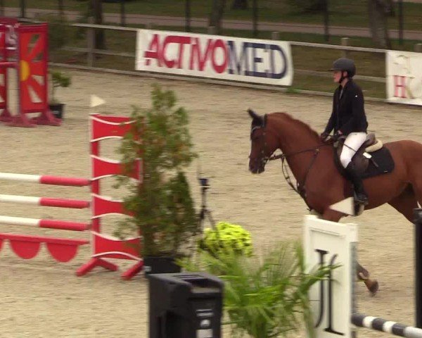 Reitturnier Westergellersen 2024
