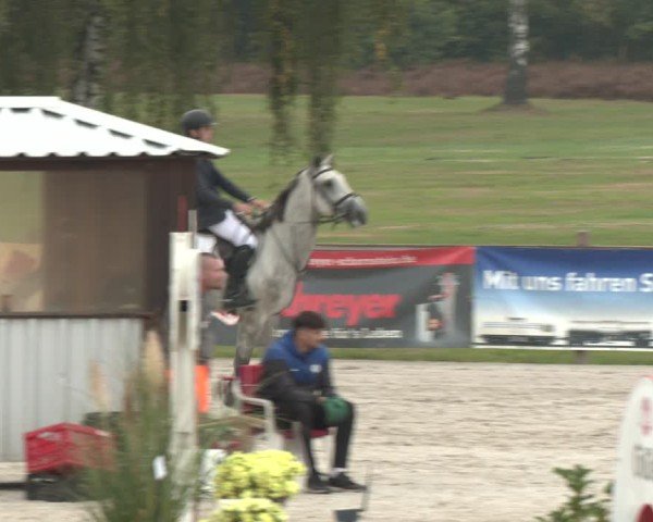 Reitturnier Westergellersen 2024