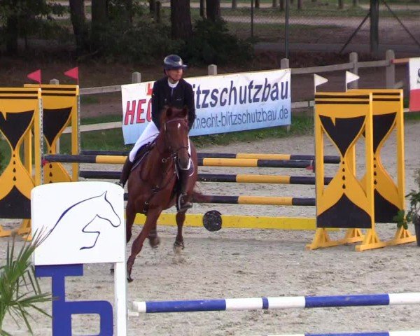 Reitturnier Westergellersen 2024