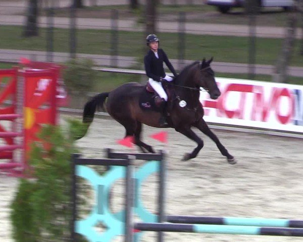 Reitturnier Westergellersen 2024