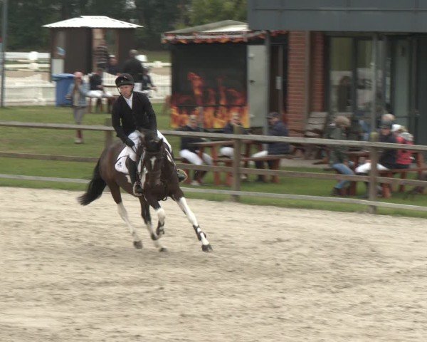 Reitturnier Westergellersen 2024